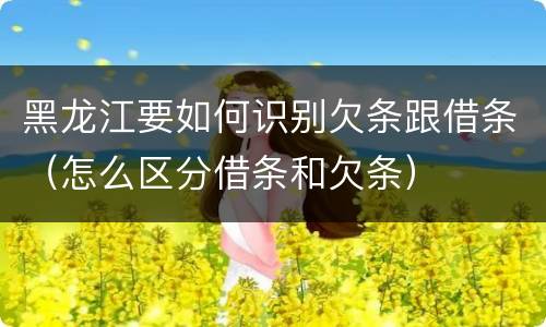 黑龙江要如何识别欠条跟借条（怎么区分借条和欠条）