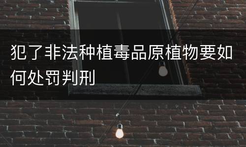 犯了非法种植毒品原植物要如何处罚判刑