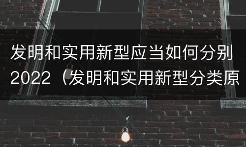 发明和实用新型应当如何分别2022（发明和实用新型分类原则）
