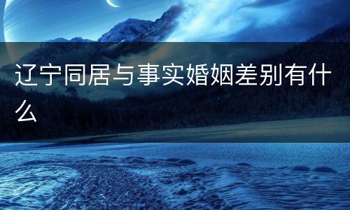 辽宁同居与事实婚姻差别有什么