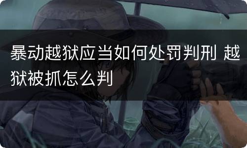 暴动越狱应当如何处罚判刑 越狱被抓怎么判