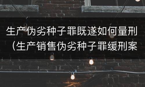 生产伪劣种子罪既遂如何量刑（生产销售伪劣种子罪缓刑案例）