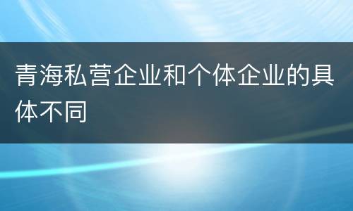 青海私营企业和个体企业的具体不同