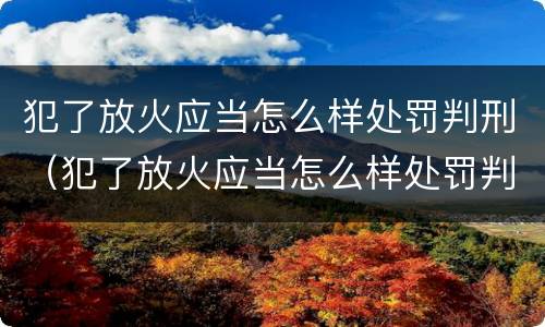 犯了放火应当怎么样处罚判刑（犯了放火应当怎么样处罚判刑吗）