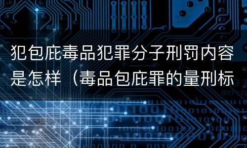 犯包庇毒品犯罪分子刑罚内容是怎样（毒品包庇罪的量刑标准）
