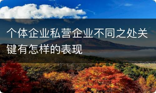 个体企业私营企业不同之处关键有怎样的表现