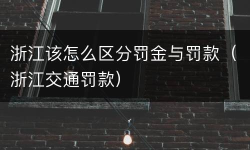 浙江该怎么区分罚金与罚款（浙江交通罚款）