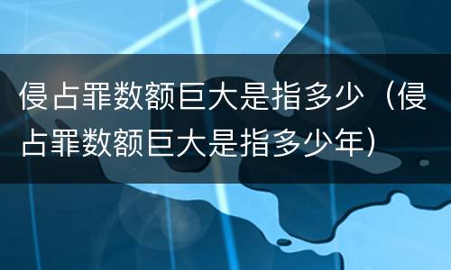 侵占罪数额巨大是指多少（侵占罪数额巨大是指多少年）