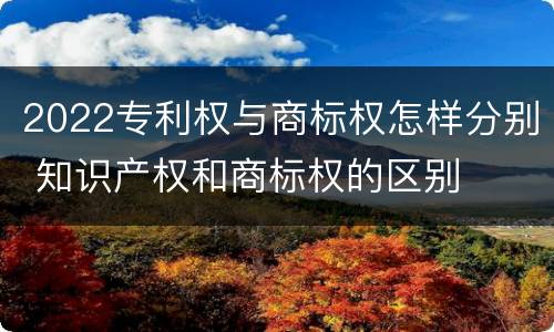 2022专利权与商标权怎样分别 知识产权和商标权的区别