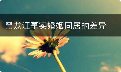 黑龙江事实婚姻同居的差异