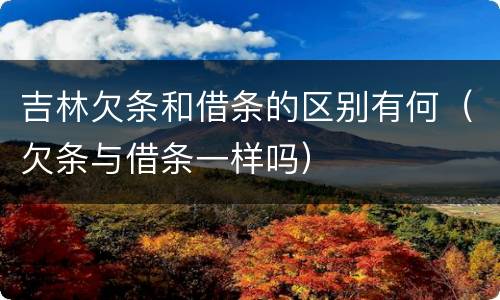 吉林欠条和借条的区别有何（欠条与借条一样吗）