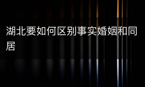 湖北要如何区别事实婚姻和同居