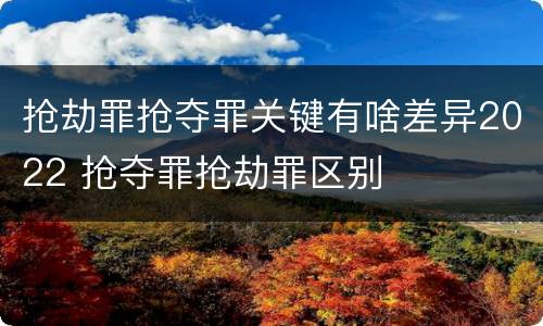 抢劫罪抢夺罪关键有啥差异2022 抢夺罪抢劫罪区别