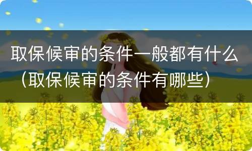 取保候审的条件一般都有什么（取保候审的条件有哪些）