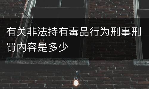 有关非法持有毒品行为刑事刑罚内容是多少