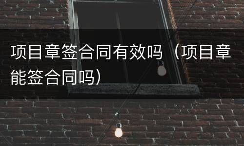 项目章签合同有效吗（项目章能签合同吗）