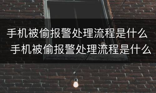 手机被偷报警处理流程是什么 手机被偷报警处理流程是什么样的