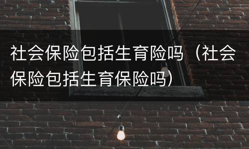 社会保险包括生育险吗（社会保险包括生育保险吗）