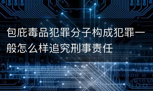 包庇毒品犯罪分子构成犯罪一般怎么样追究刑事责任