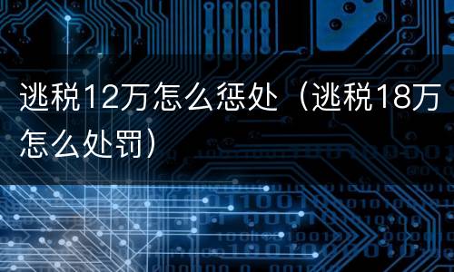 逃税12万怎么惩处（逃税18万怎么处罚）