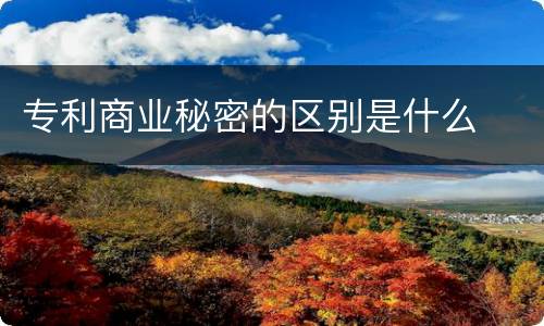 专利商业秘密的区别是什么