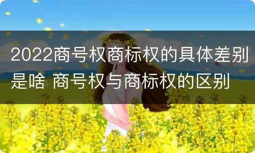 2022商号权商标权的具体差别是啥 商号权与商标权的区别