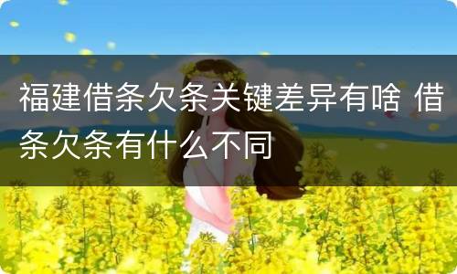 福建借条欠条关键差异有啥 借条欠条有什么不同