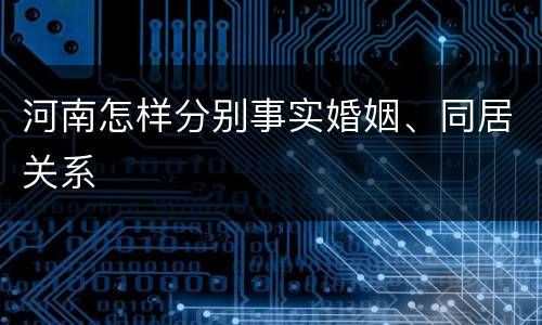 河南怎样分别事实婚姻、同居关系