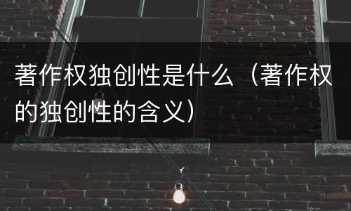 著作权独创性是什么（著作权的独创性的含义）