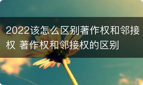 2022该怎么区别著作权和邻接权 著作权和邻接权的区别