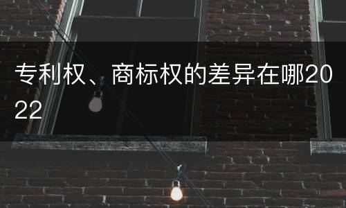 专利权、商标权的差异在哪2022