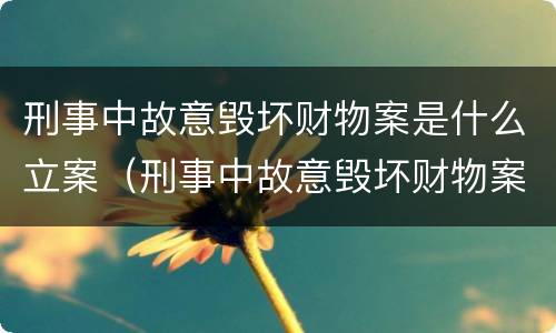 刑事中故意毁坏财物案是什么立案（刑事中故意毁坏财物案是什么立案的）