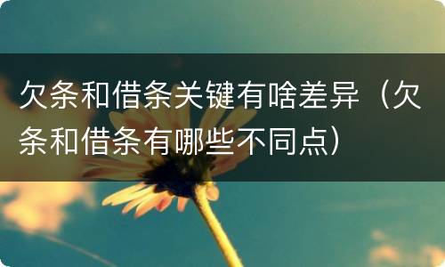 欠条和借条关键有啥差异（欠条和借条有哪些不同点）