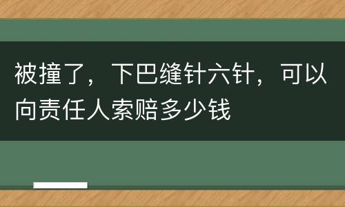 被撞了，下巴缝针六针，可以向责任人索赔多少钱