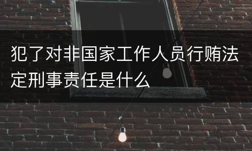 犯了对非国家工作人员行贿法定刑事责任是什么