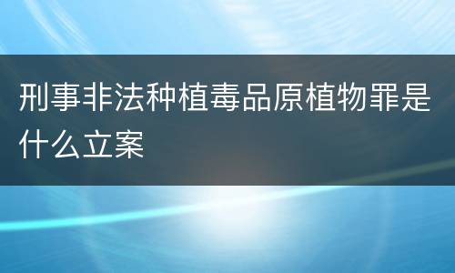 刑事非法种植毒品原植物罪是什么立案