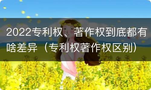 2022专利权、著作权到底都有啥差异（专利权著作权区别）