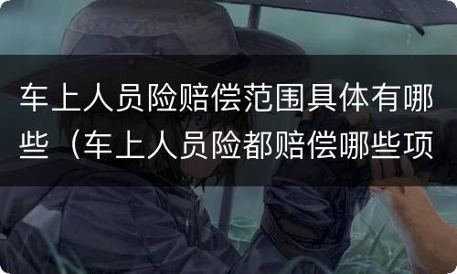 车上人员险赔偿范围具体有哪些（车上人员险都赔偿哪些项目）