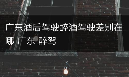 广东酒后驾驶醉酒驾驶差别在哪 广东 醉驾