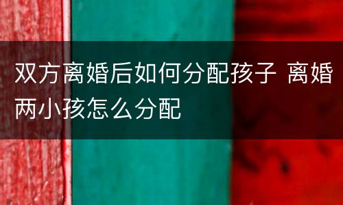 双方离婚后如何分配孩子 离婚两小孩怎么分配