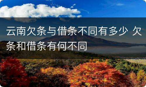 云南欠条与借条不同有多少 欠条和借条有何不同