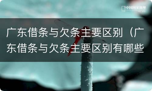 广东借条与欠条主要区别（广东借条与欠条主要区别有哪些）
