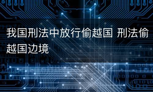 我国刑法中放行偷越国 刑法偷越国边境
