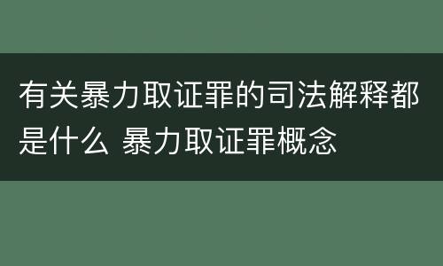 有关暴力取证罪的司法解释都是什么 暴力取证罪概念
