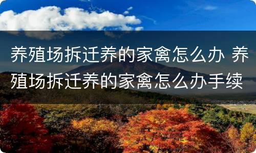 养殖场拆迁养的家禽怎么办 养殖场拆迁养的家禽怎么办手续