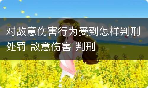 对故意伤害行为受到怎样判刑处罚 故意伤害 判刑