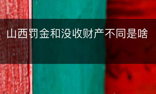 山西罚金和没收财产不同是啥