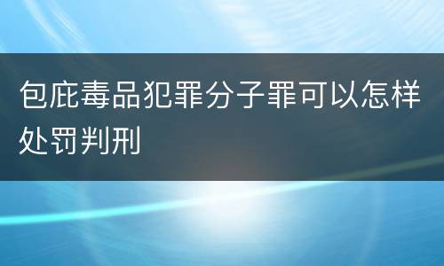 包庇毒品犯罪分子罪可以怎样处罚判刑