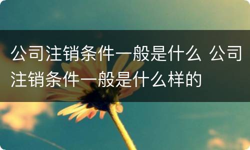 公司注销条件一般是什么 公司注销条件一般是什么样的