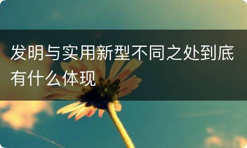 发明与实用新型不同之处到底有什么体现